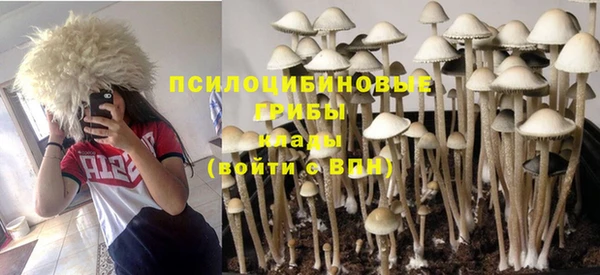 гашик Алексеевка