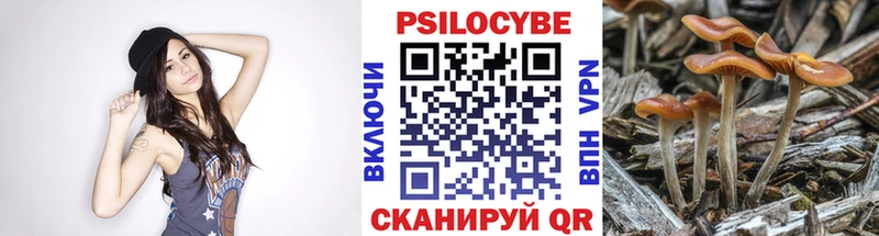 Галлюциногенные грибы прущие грибы  хочу наркоту  Ставрополь 