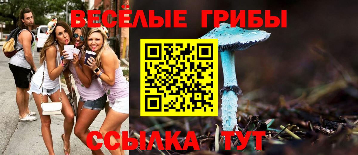 Ставрополь  Галлюциногенные грибы мицелий  где продают   Вход с VPN 