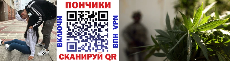 Бошки марихуана AK-47  KRAKEN сайт  Ставрополь 